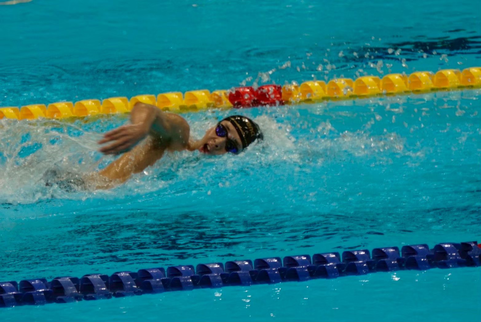 第100回 日本選手権水泳競技大会に出場しました